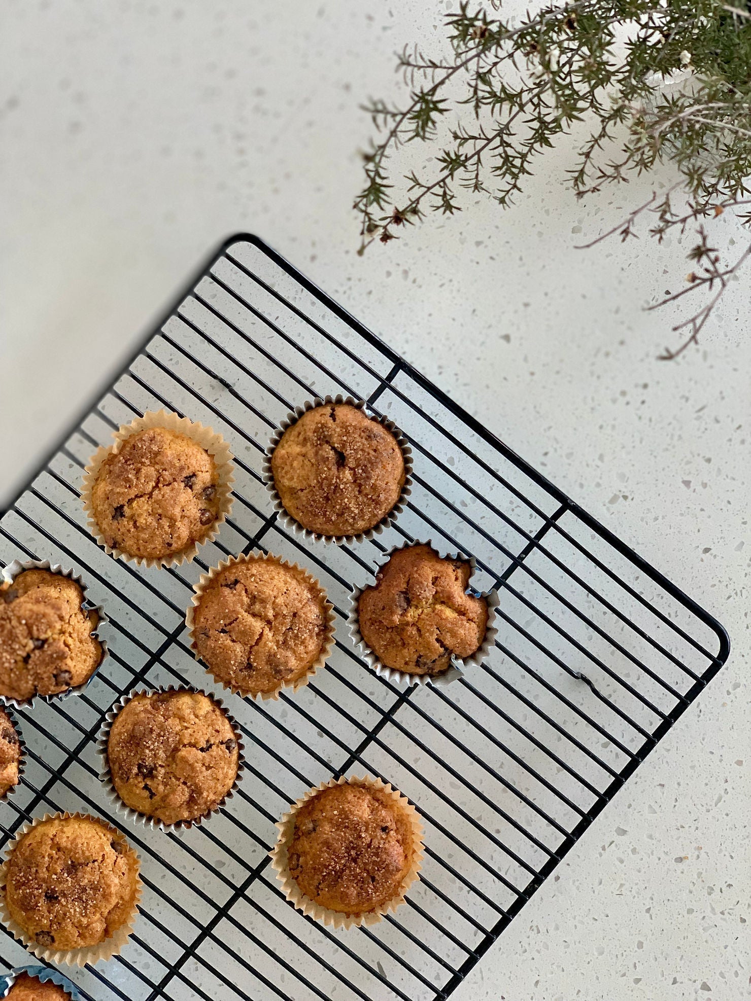 Lunchbox sweet potato muffins