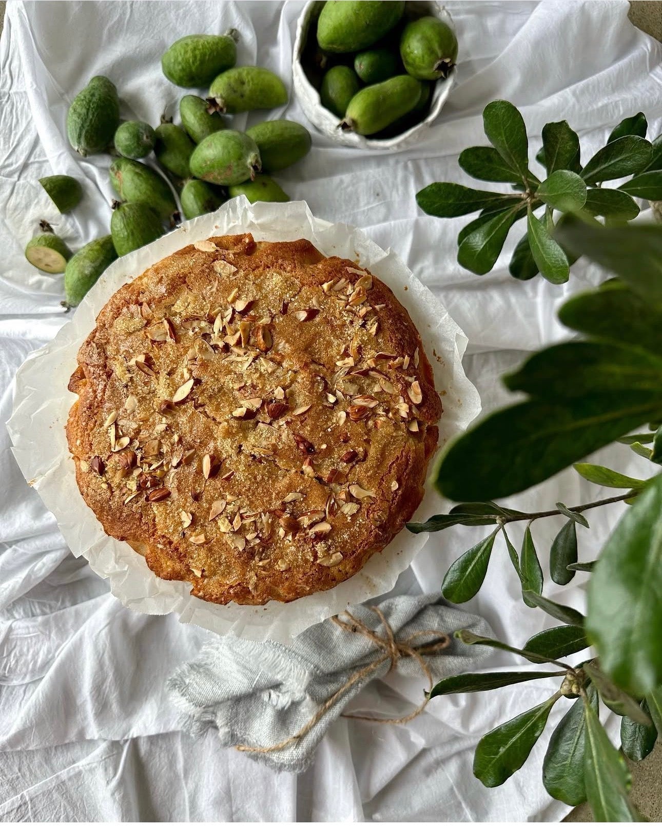 feijoa coconut cake 
