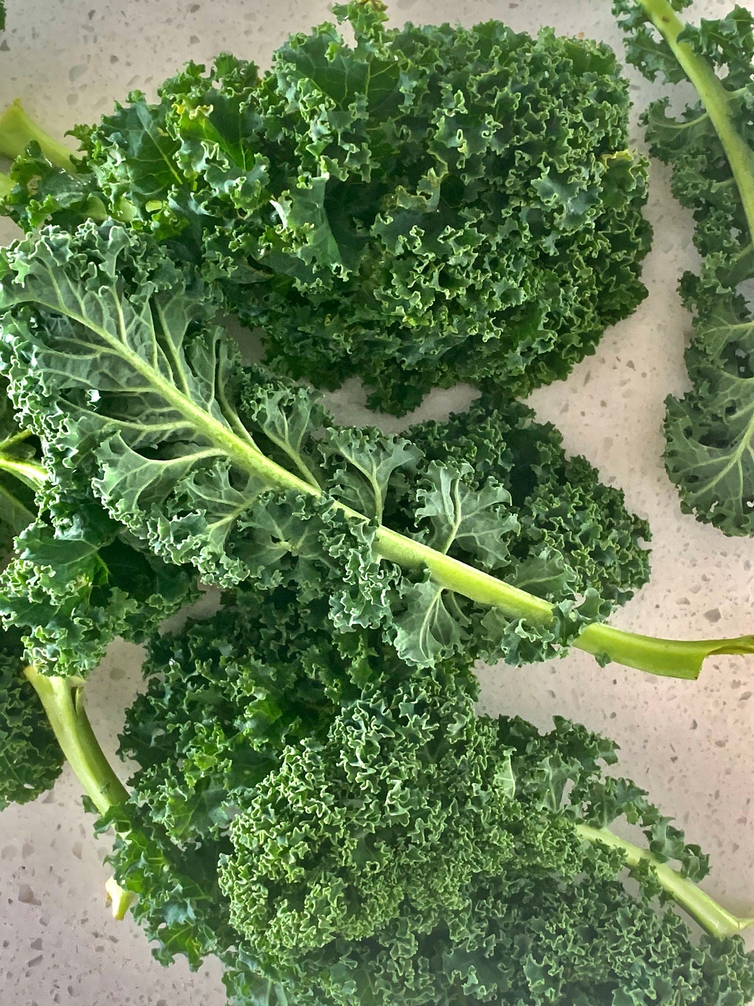 Sautéed Garlicky Kale