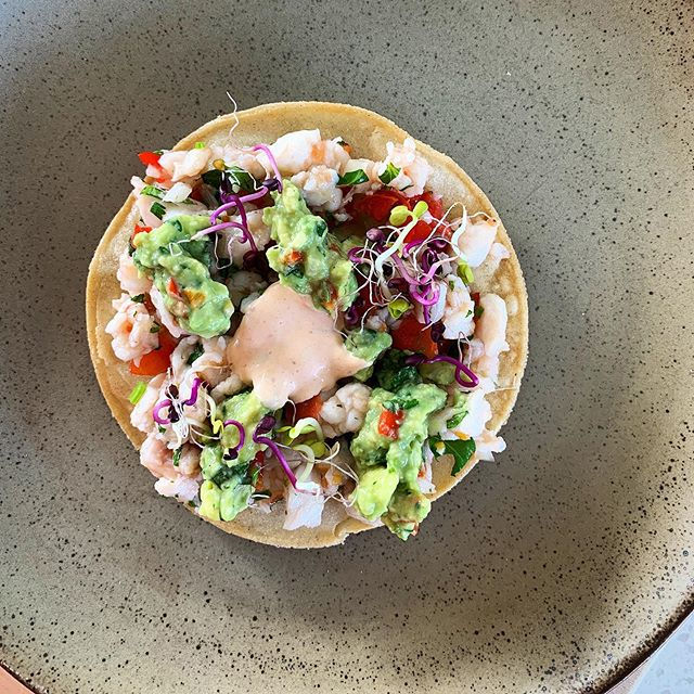 Ceviche with guacamole and chipotle mayo