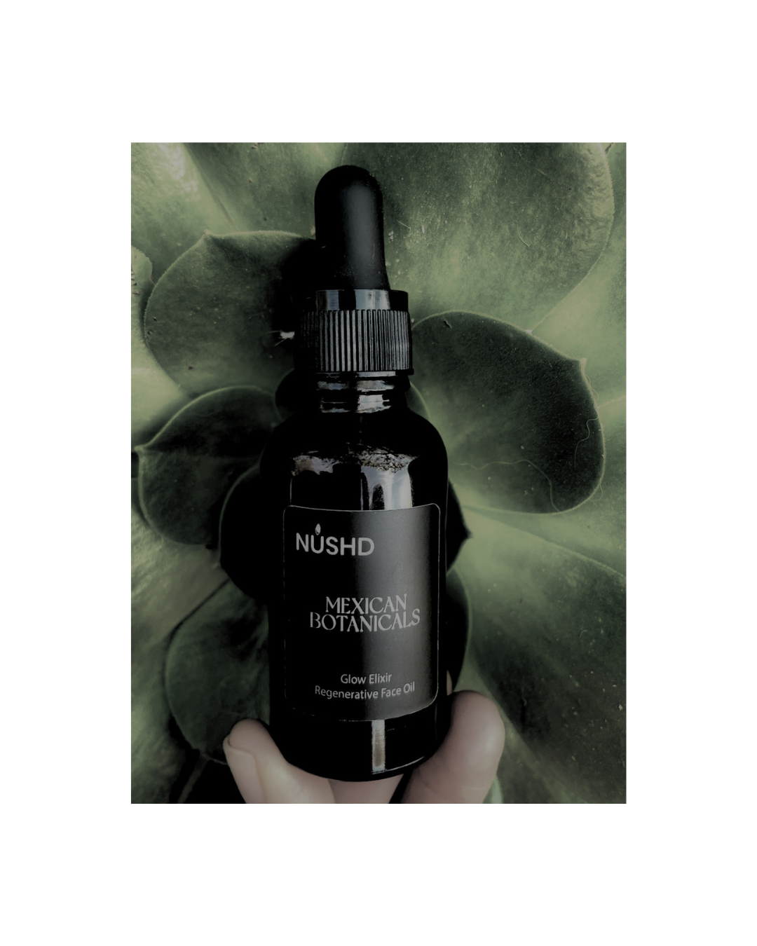 Glow Elixir. Regenerative Face Oil