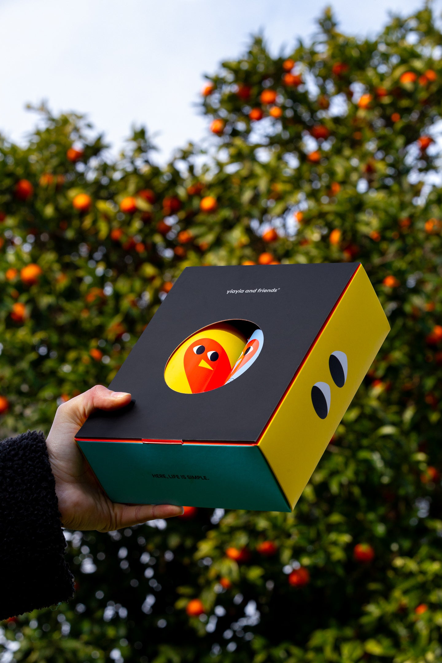 EVOO olive oil gift buy new zealand.