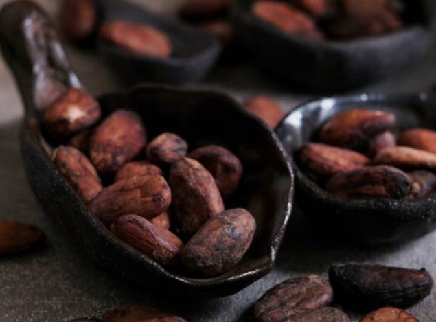 Organic Cacao Powder 240g